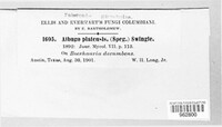 Image Associated With the Occurence